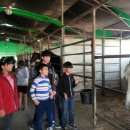 성환삼육영어지역아동센터 이미지