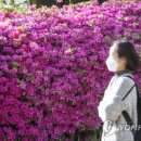 대덕대로-22 이미지