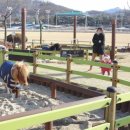 포니랜드 이미지