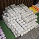 제이마스터스포츠인천