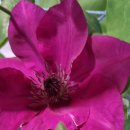 선기농장 이미지