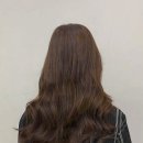 노블미용실 이미지