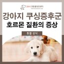 24시연동물의료센터 이미지