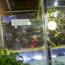 군산수족관 이미지