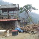 대동농원 이미지