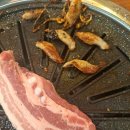 최대포식당 이미지