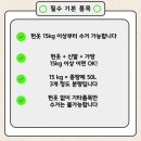 헌옷 업사이클링(중급) | 나라별 헌옷 수거 이야기 2탄! 헌옷햄스터는?