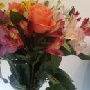 순수동물병원 이미지