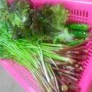 천생산칼국수 이미지