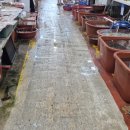 해인물회식당 이미지