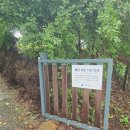 거울공원 | 용산 가족공원 야외 결혼식 하객 참석 후기 〰️ 거울못식당 식사