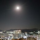 쉬즈스킨