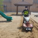 주덕초교 병설유치원 이미지