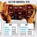 소고기 어디 부위가 맛있나용? 이미지