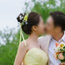 세이헤어 네이버블로그