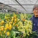 해평농장 이미지