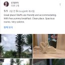 보홀 한인리조트 추천 ! <b>단비</b>(Danbi)리조트와 함께한...