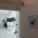 모이모이 | 울산 성남동 사진관 모이스튜디오 재방문 후기 흑백스냅 촬영