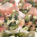 사림동104 이미지