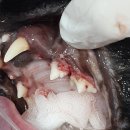 방학동물병원 이미지