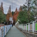 용호초등학교후문 이미지