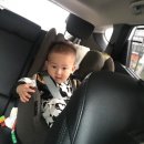 후(WHO)어린이집 네이버블로그