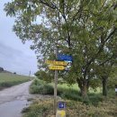 정미자 | 스페인 산티아고 순례길 후기 · 꿀팁 · 코스 · 성지순례 · 기간 · 비용 · 패키지· 의미 - REEN...