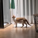 우신프라자약국 | 동물병원Be