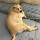 아벨바이오 | 주간일기 | 12월 1-2주차 - 도전실패로 우울한 나😑