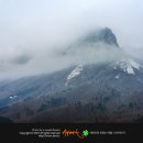 머구리해물 뚝배기 이미지