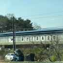 울산EDA승마장 이미지