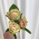 플로리스트혜선