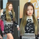제니홀릭