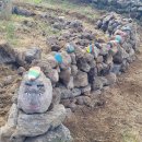 제주돌문화공원 이미지