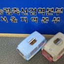 퍼피대디 이미지