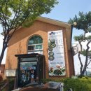 서오릉다슬기해장국 | 일산 맛집 서오릉다슬기탕 백석점 숙취해소 해장국 좋은 음식