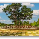 숨쉬는항아리 이미지