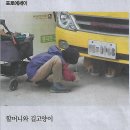 왜냐면/제발 ‘된다’고 하지 마세요/김재욱 전주 서일초등학교 교사/NFT는 미술하고 상관이 없다/최나욱 전시디자이너·미술평론가(민중이 이미지