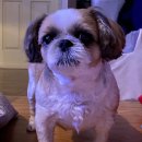 진해동물의료센터 이미지