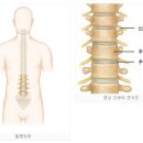 정마취통증의학과 - 동구 용운로 165 | 정마취통증의학과