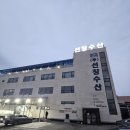 멍게 | 화성 맛집 선창수산 조개와 멍게 포장 후기
