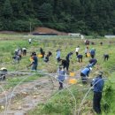 홍천군농업기술센터 이미지