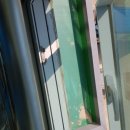 보수초등학교 이미지