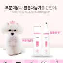 jp인터네셔널 이미지