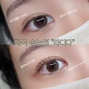 예성대로 L | [공지] 화곡역 속눈썹 “라디다 강서본점” 블랙케라틴수분펌 후기