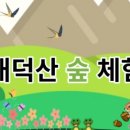 덕은DMC태권도장 이미지