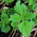 존스킨한의원 이미지