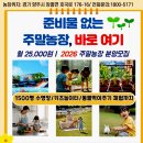 팜5150