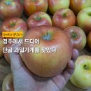 경주 청과슈퍼 | 경주 맛있는 과일가게 내돈내산 추천 | 용강동 용황청과 가성비 현지인 맛집