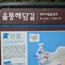 알봉 둘레길 | 울릉도 2일차 여행 태하향목 모노레일 타고 향목전망대, 나리분지에서 먹은 삼나물비빔밥